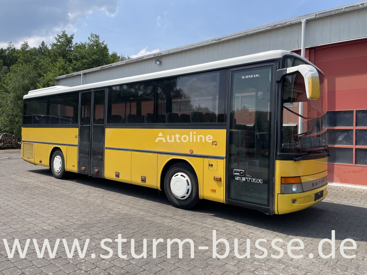 SETRA S 313 UL Überlandbus kaufen Deutschland Daaden LE34869