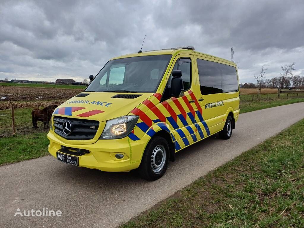 Mercedes-Benz Sprinter 319 Rettungswagen Kaufen Niederlande HASSELT ...