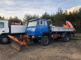 Steyr 4x4 19S 310KM  Muldenkipper