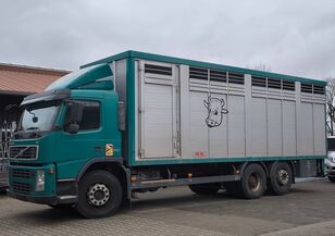 Volvo FM 360 mit KABA Einstock 7,50 m Vollalu Pferdetransporter