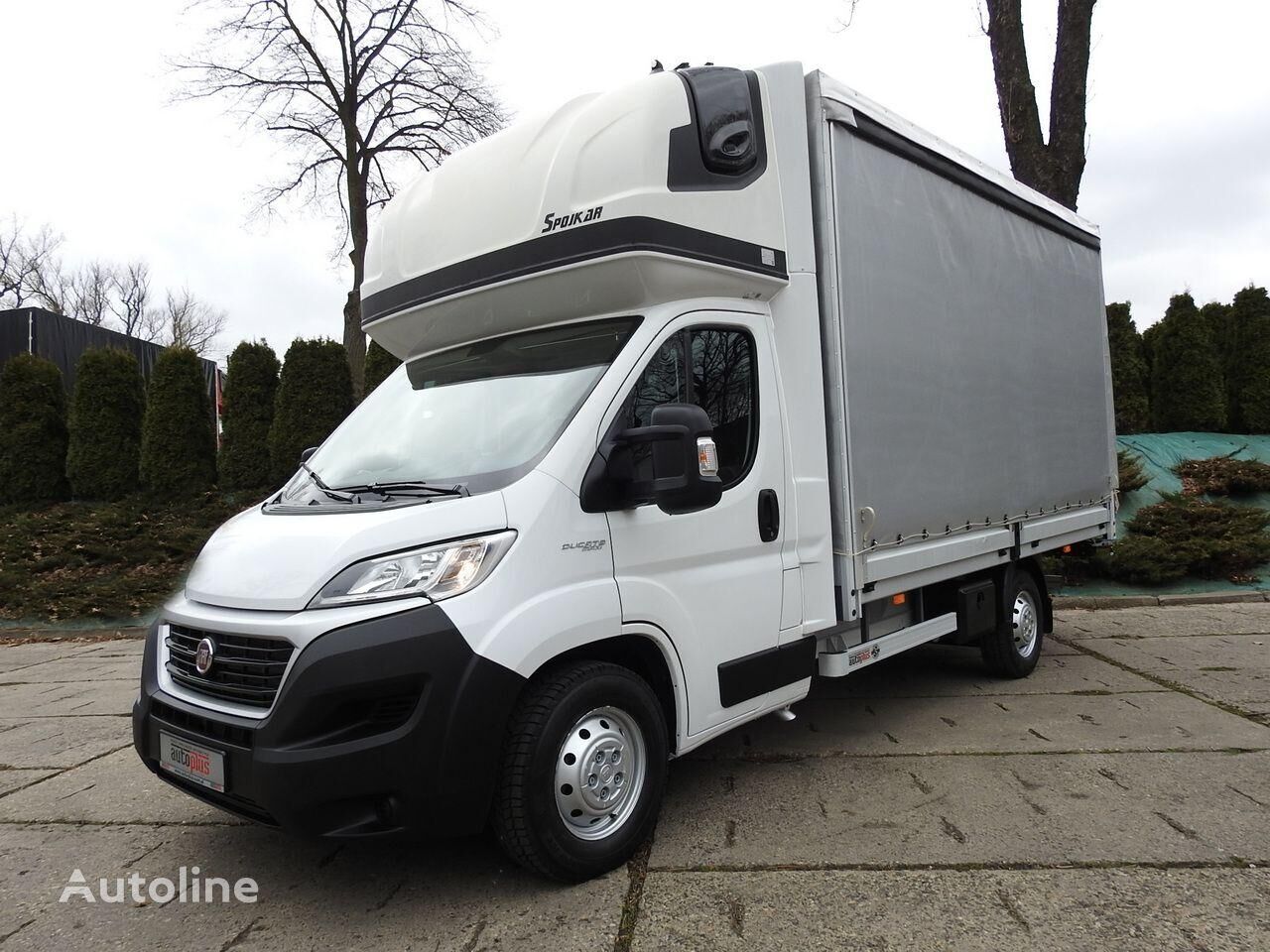 FIAT DUCATO	P+P+HF Planen-LKW