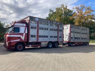 Volvo FH 12.460 Pezzaioli 1/2/3 stock Type 2 Manual Viehtransporter LKW kaufen Volvo FH 12.460 Pezzaioli 1/2/3 stock Type 2 Manual Viehtransporter LKW