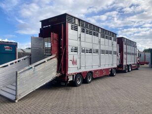 Volvo FH 12.460 Pezzaioli 1/2/3 stock Type 2 Manual Viehtransporter LKW kaufen Bild 19 Volvo FH 12.460 Pezzaioli 1/2/3 stock Type 2 Manual Viehtransporter LKW Bild 19